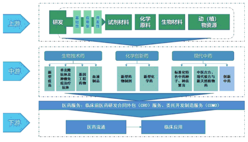 农业生物技术研发：从实验室到田间的全链条实践指南
