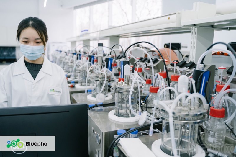 农业生物技术研发全解析：从种质创新到成果转化的落地路径